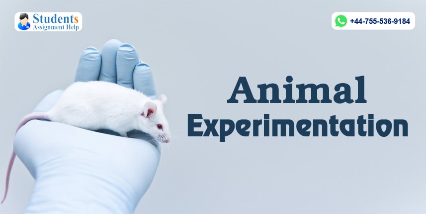 thesis statement for animal experiments