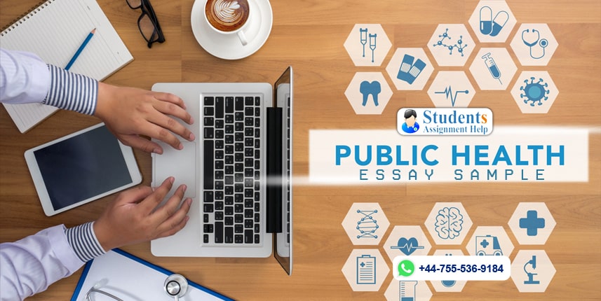 public health essay sample