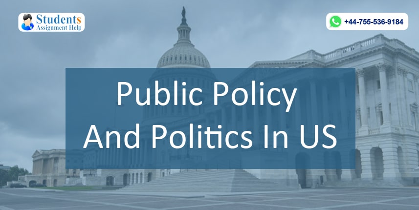 public-policy-politics-of-the-united-states-essay-sample-example