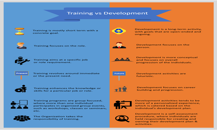 training and development process in human resource management