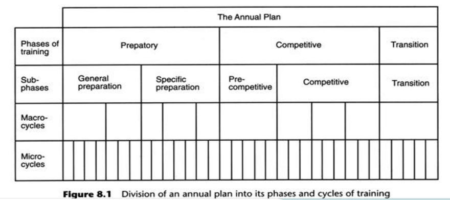 Periodization Chart