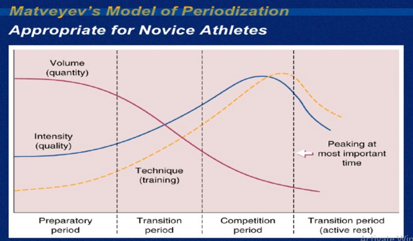 Periodization Period