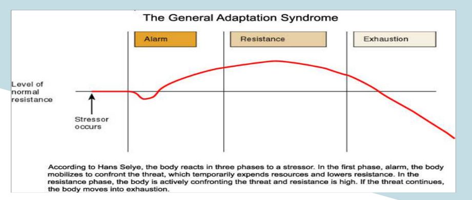 Response to Training Stress