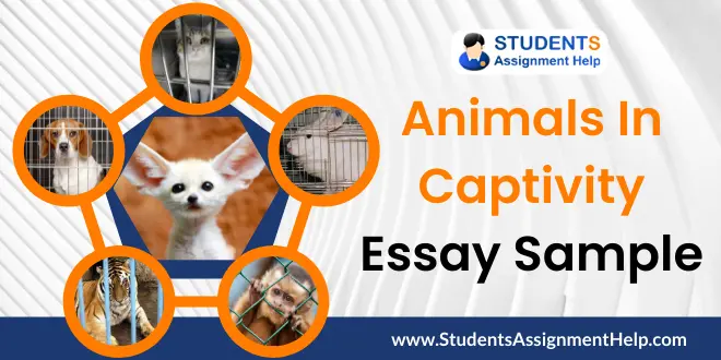 thesis statement for animals in captivity