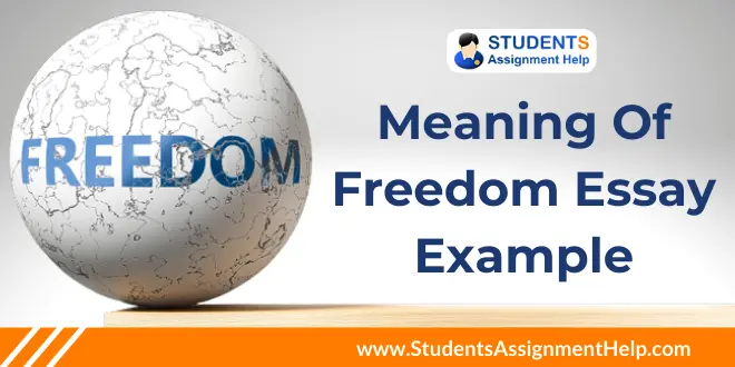 essay on the meaning of freedom