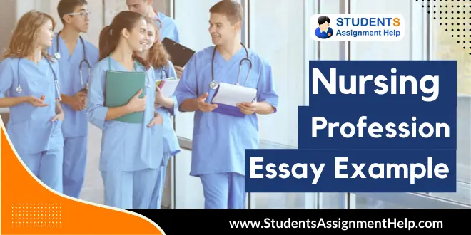 nursing profession essay 300 words