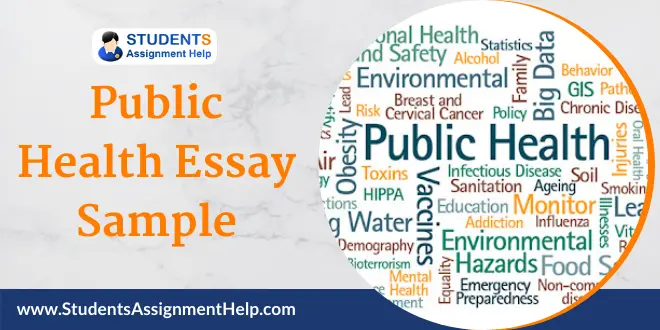 public health essay prize